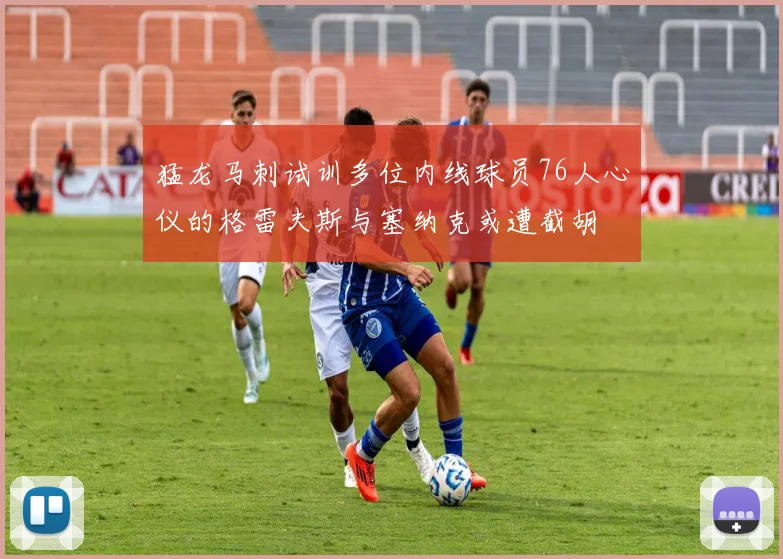 猛龙马刺试训多位内线球员76人心仪的格雷夫斯与塞纳克或遭截胡