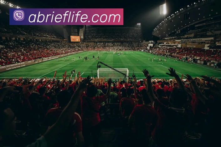 bsports官网入口平台生态图