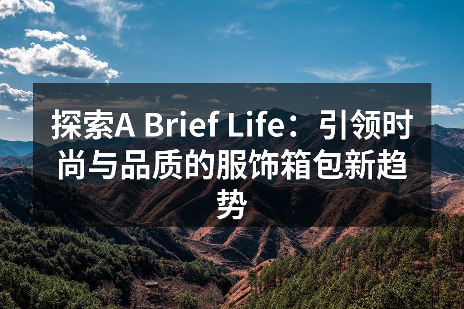 时尚的旅行箱包系列