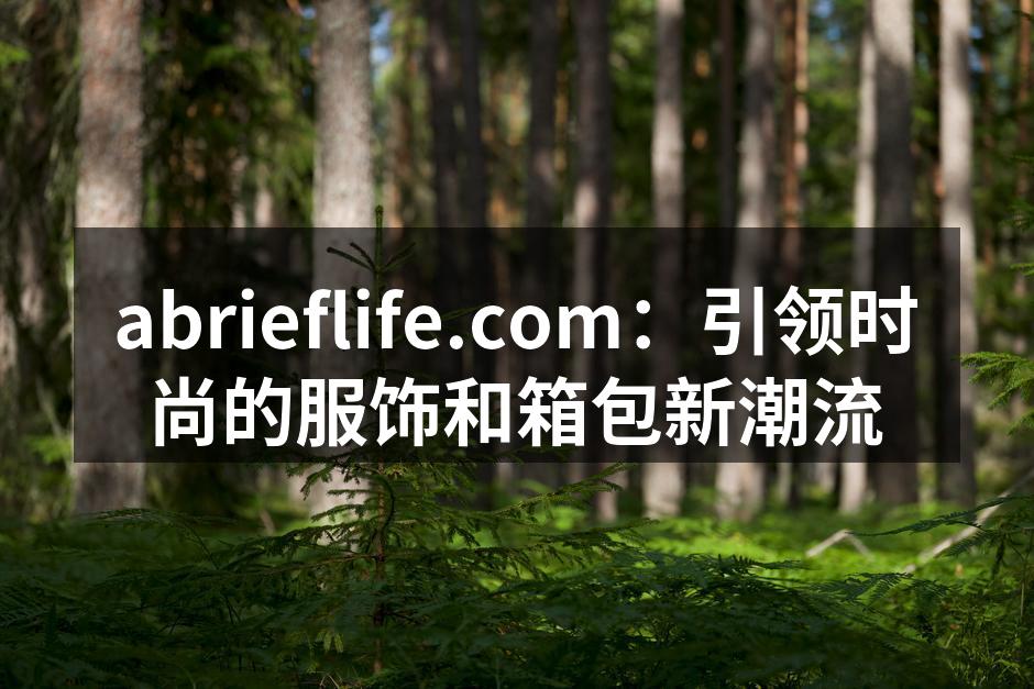 abrieflife新款箱包系列展示